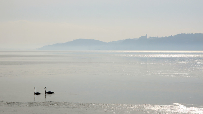 Víz, jég, hattyúk