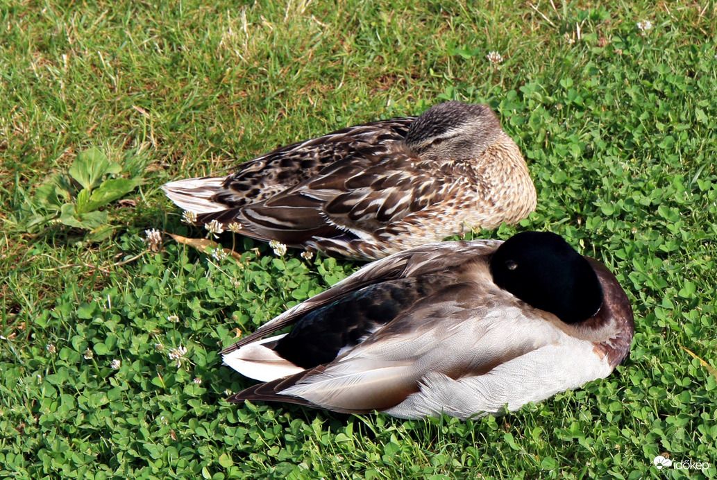 Éjszaka a vihar miatt rosszul aludtunk