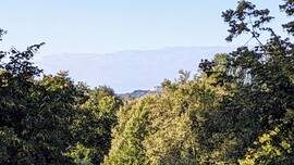 Balatonfüred