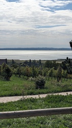 kronikas fotója