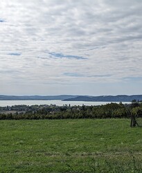 Panoráma