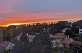 kronikas fotója
