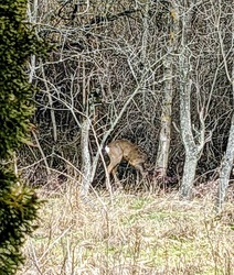 Meglátogatott minket