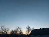 Borota