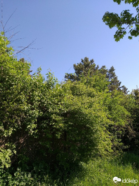 Szentendre
