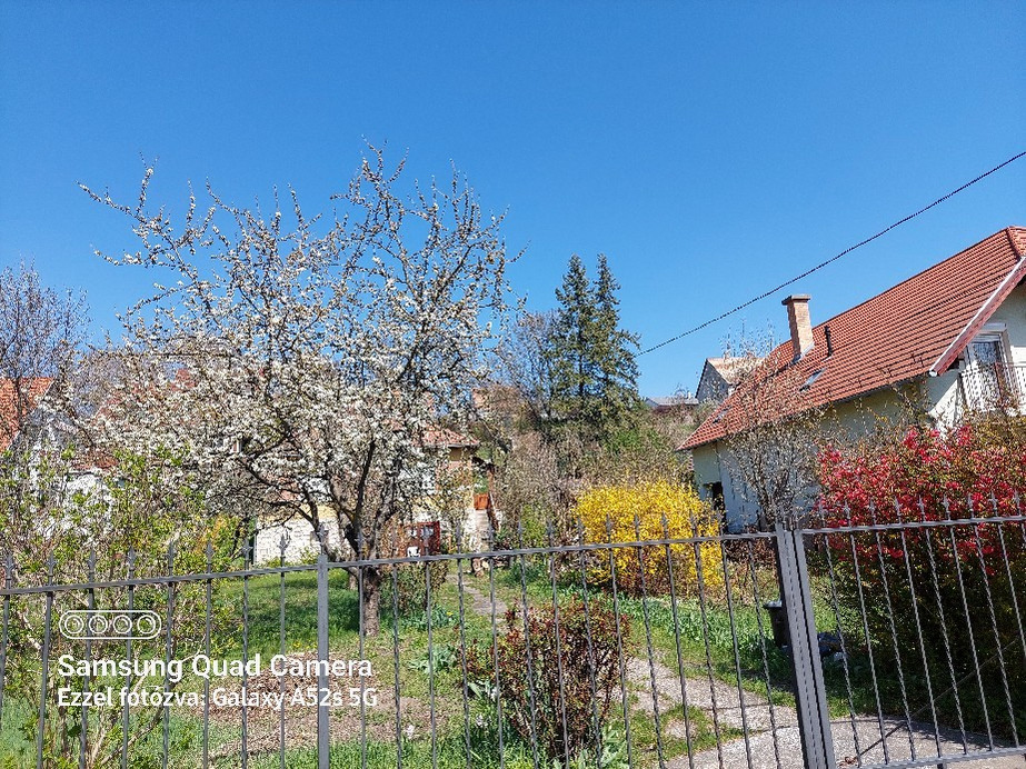 Szentendre