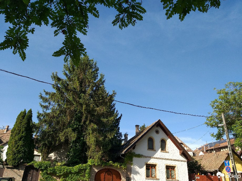 Szentendre
