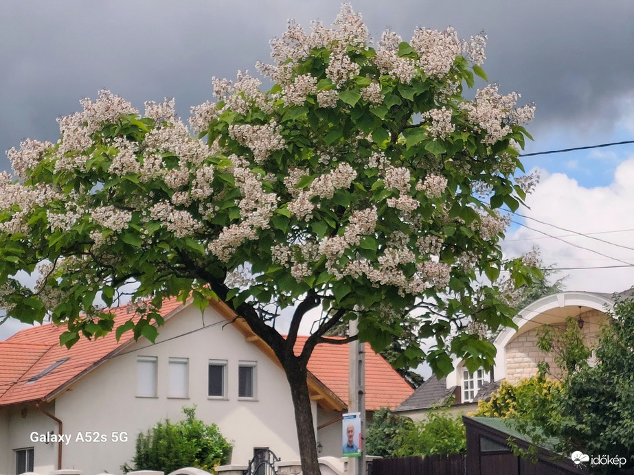 Szentendre