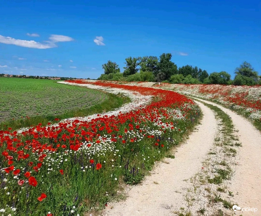 Pomáz