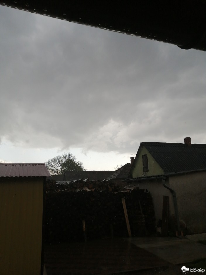 Gelse