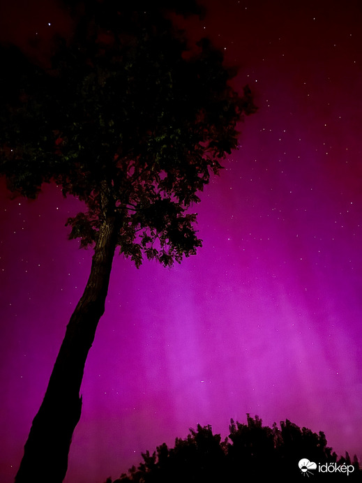 Aurora Borealis Kistelek✨
