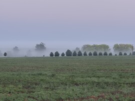 Lajoskomárom