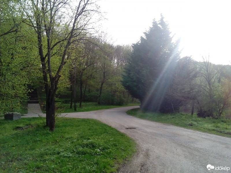 Bajna