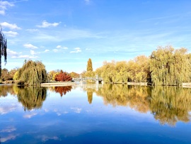 Tükrözödès a tavon