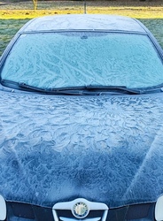 Jégvirág a tél varázsa