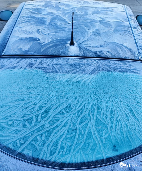 Jégvirág a tél varázsa 2