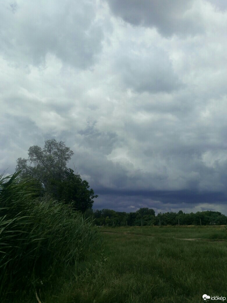 Szabadszállás