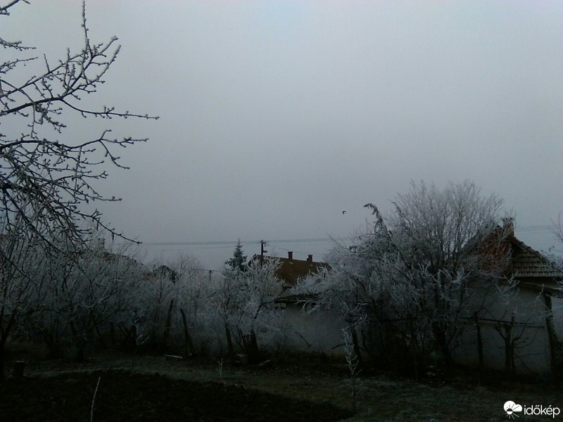 Tiszaderzs