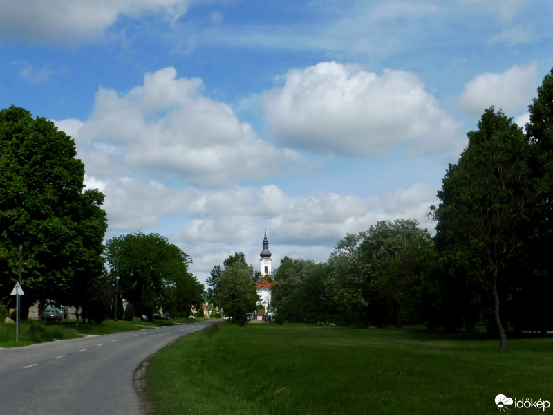 Szár