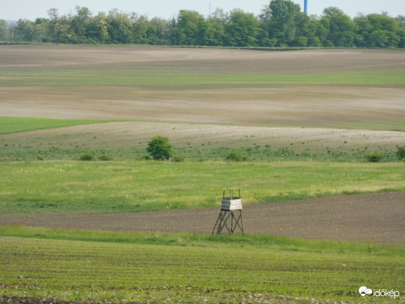 hullámzó táj