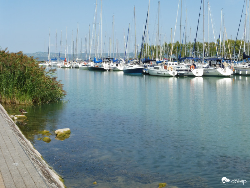 Vitorlások szabadságon