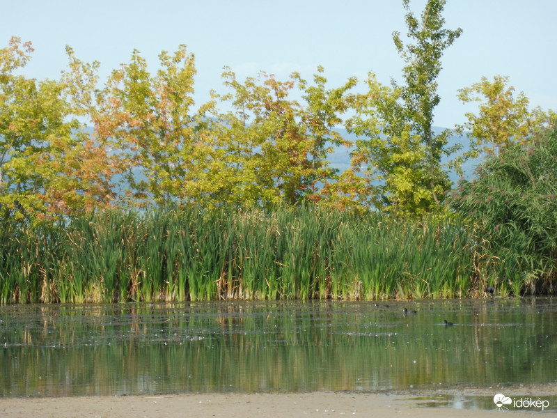 Békés öböl, a nádas mögött a Balaton