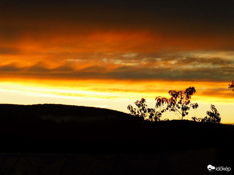 Vöröslő hullámok eső után