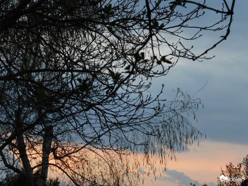 Madarak árnyai naplemente idején