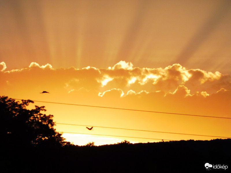 Utolsó sugarak madarakkal