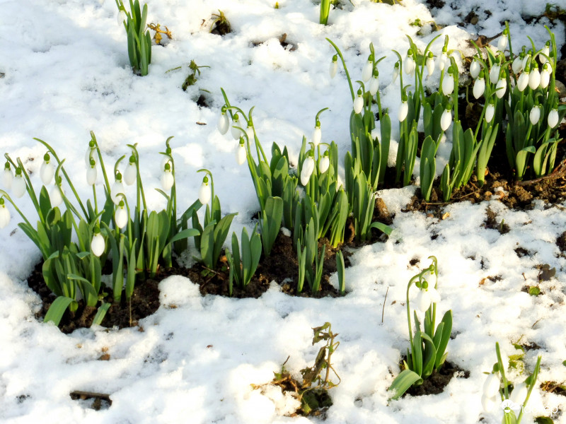 Sorakozó, jobbra igazodj!
