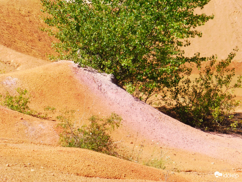 Többféle ásvány színezte halom és egy zöldellő élet