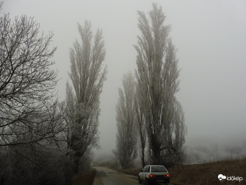 Deres útszéli fák