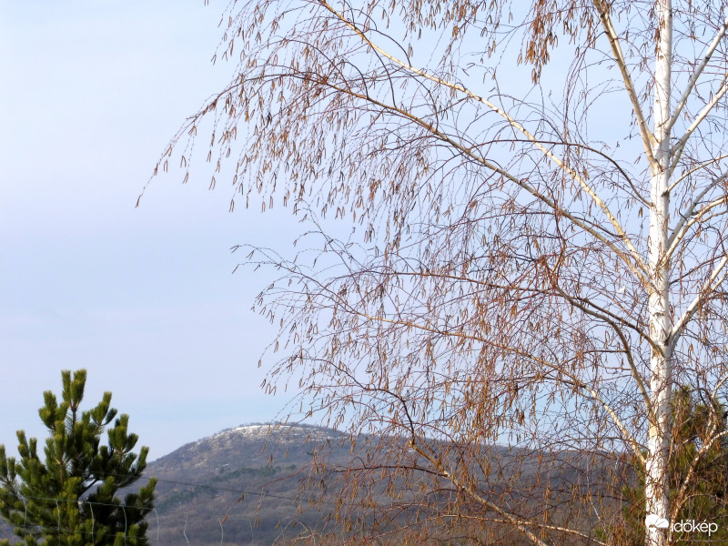 Kis hósipka a Vértesben ma