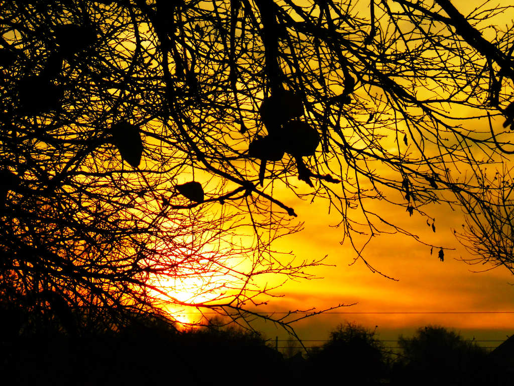 Csak látszólag melegek a fények