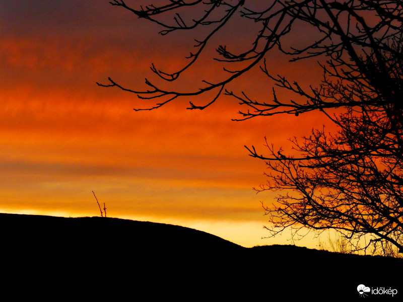 Szürkeségből hirtelen színek keletkeztek