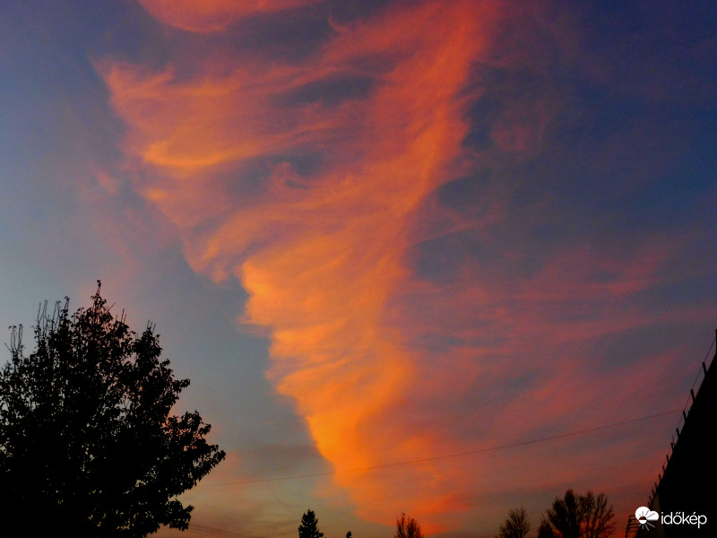 Boldogan szabadult ki a palackból