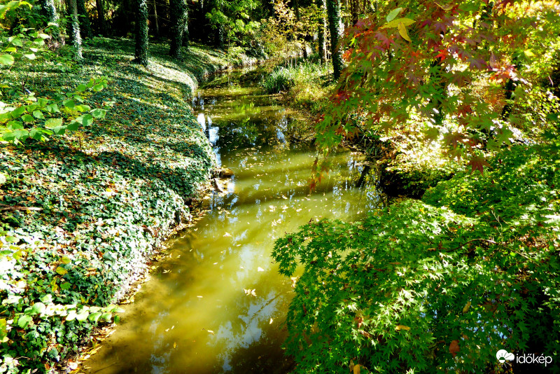 Patak mentén lopakodik az ősz
