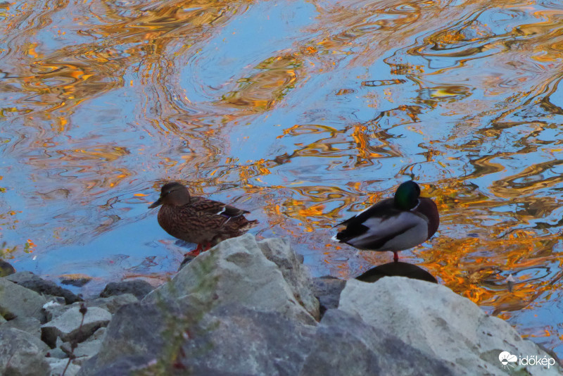 Lombok aranya a víz tükrében  