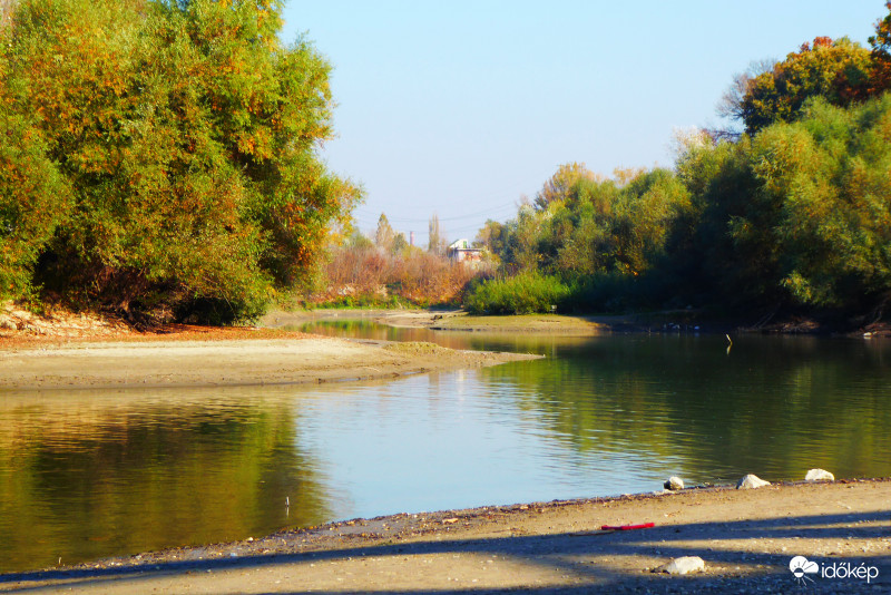 Őből a Palotai szigetnél 