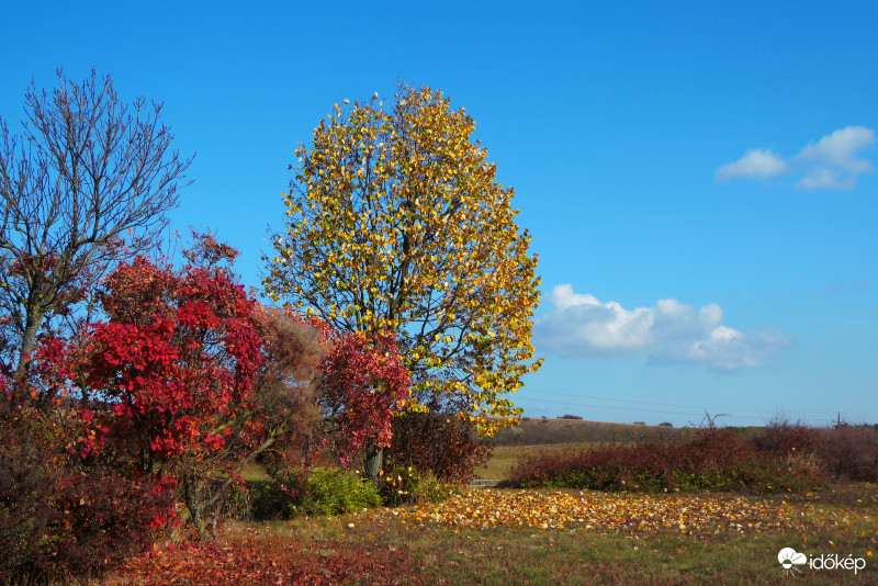 Falunk végén kurta kocsma helyett