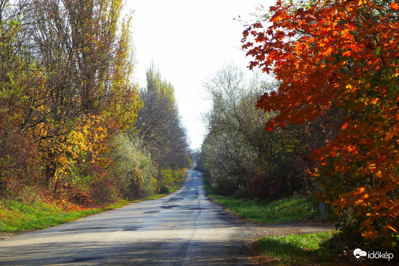 Az ősz megelőzött