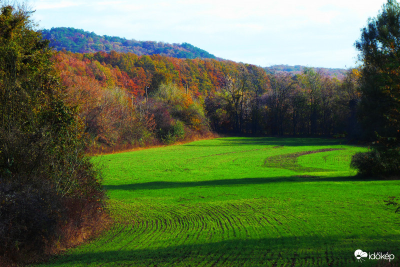 Tavasz és ősz vetélkedése, sajnos csak színekben