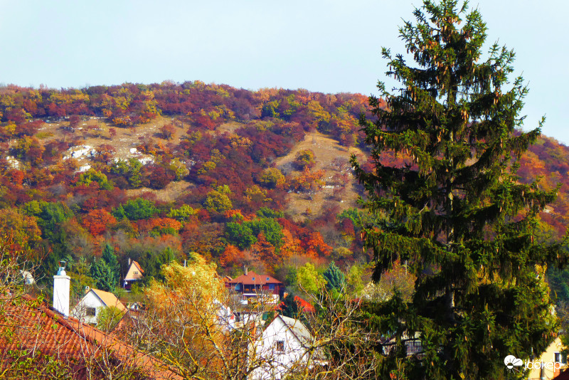 Szép idő volt, senkinek nem jutott eszébe fenyőfát díszíteni