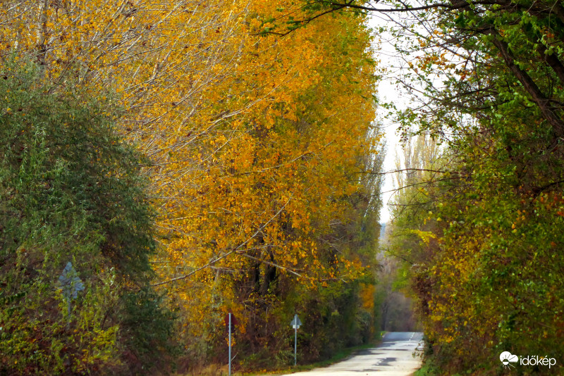 Ahol aprónak érzed magad