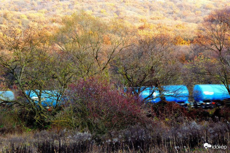 "Kék nyíl" vonat robog a színes tájban