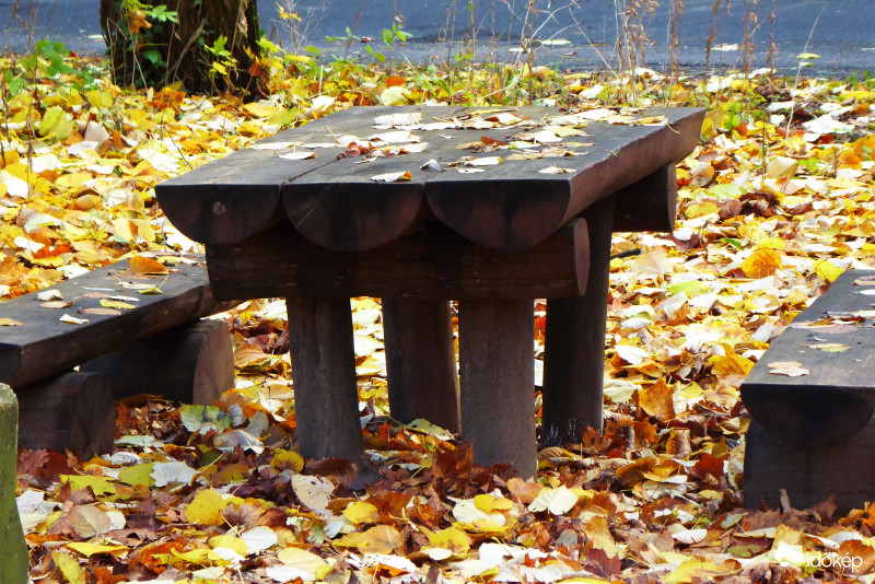 Levelek szék és asztal foglalója