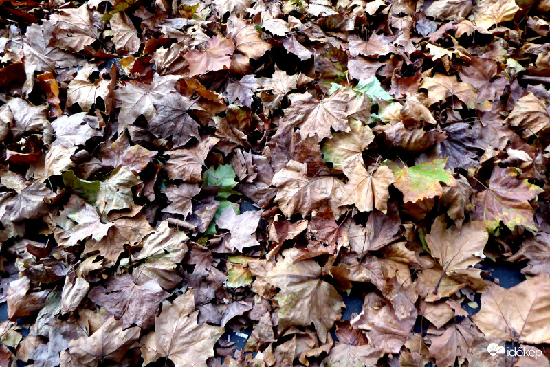 "Kicsit borús lett ez a bűbájos világ ....