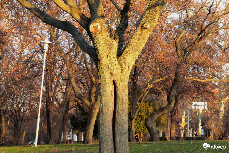 Gólyalábon pipiskedve jobban látok