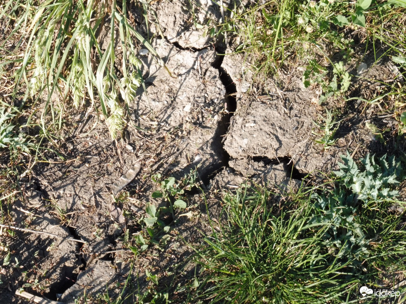 Aszály mély ráncai a föld arcán