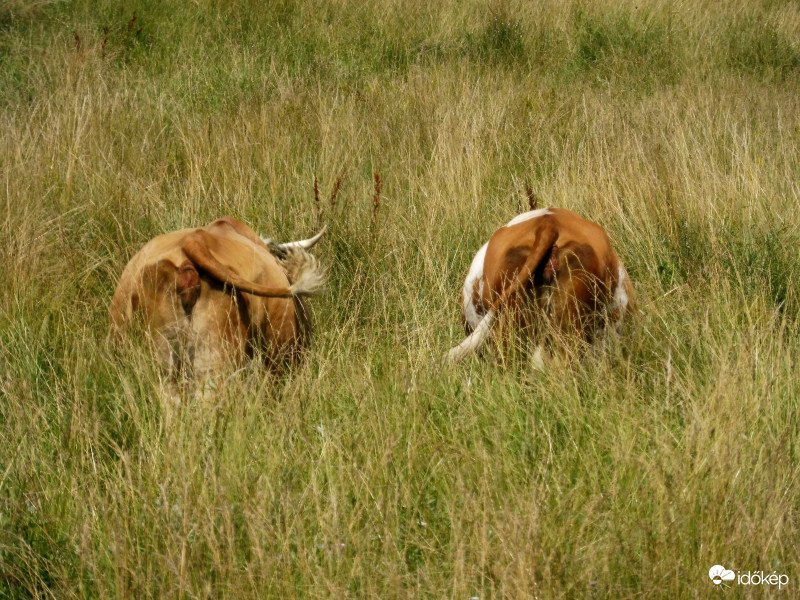 "Arcunk" fotózásához nem járulunk hozzá